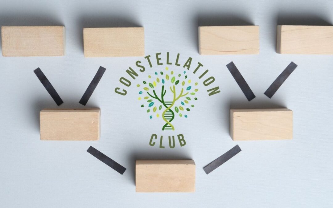 Constellation Club ONLINE